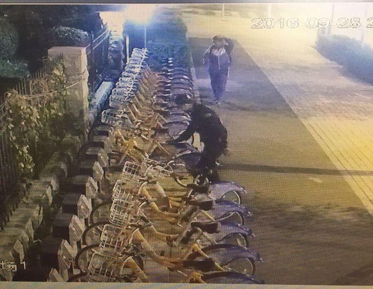 mg不朽情缘(中国)官方网站