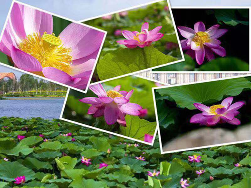 mg不朽情缘(中国)官方网站