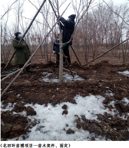 mg不朽情缘(中国)官方网站