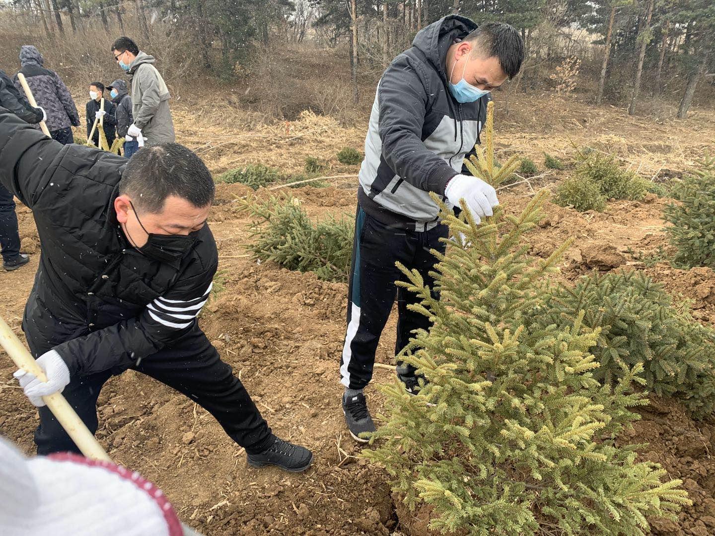 mg不朽情缘(中国)官方网站