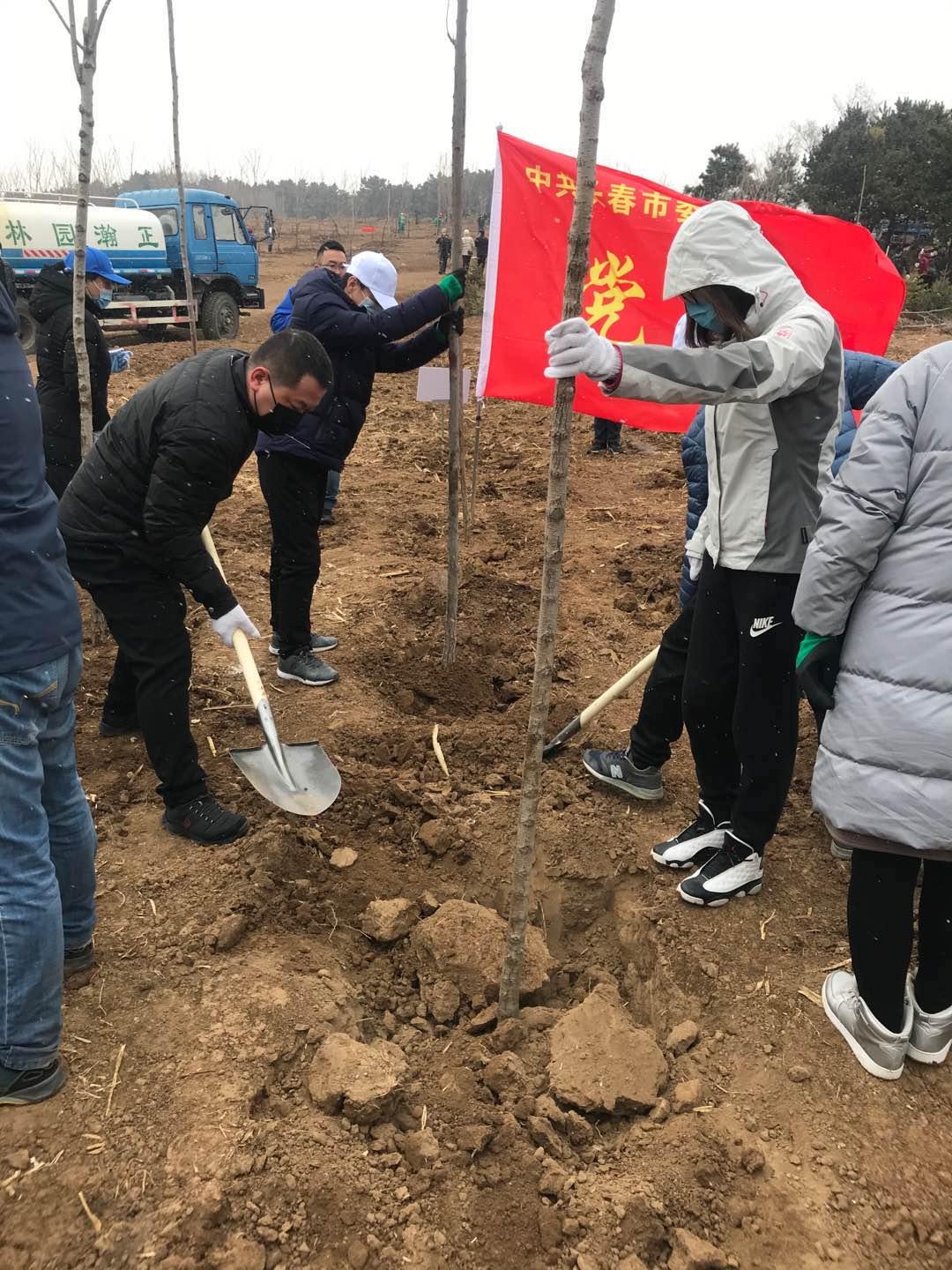mg不朽情缘(中国)官方网站