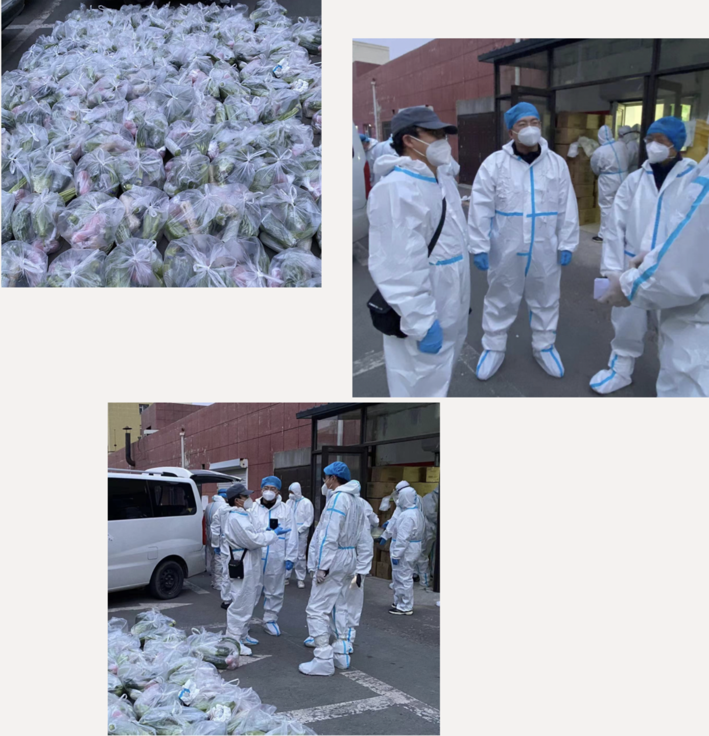 mg不朽情缘(中国)官方网站