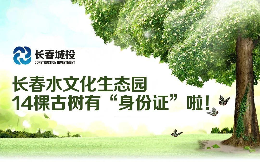 mg不朽情缘(中国)官方网站