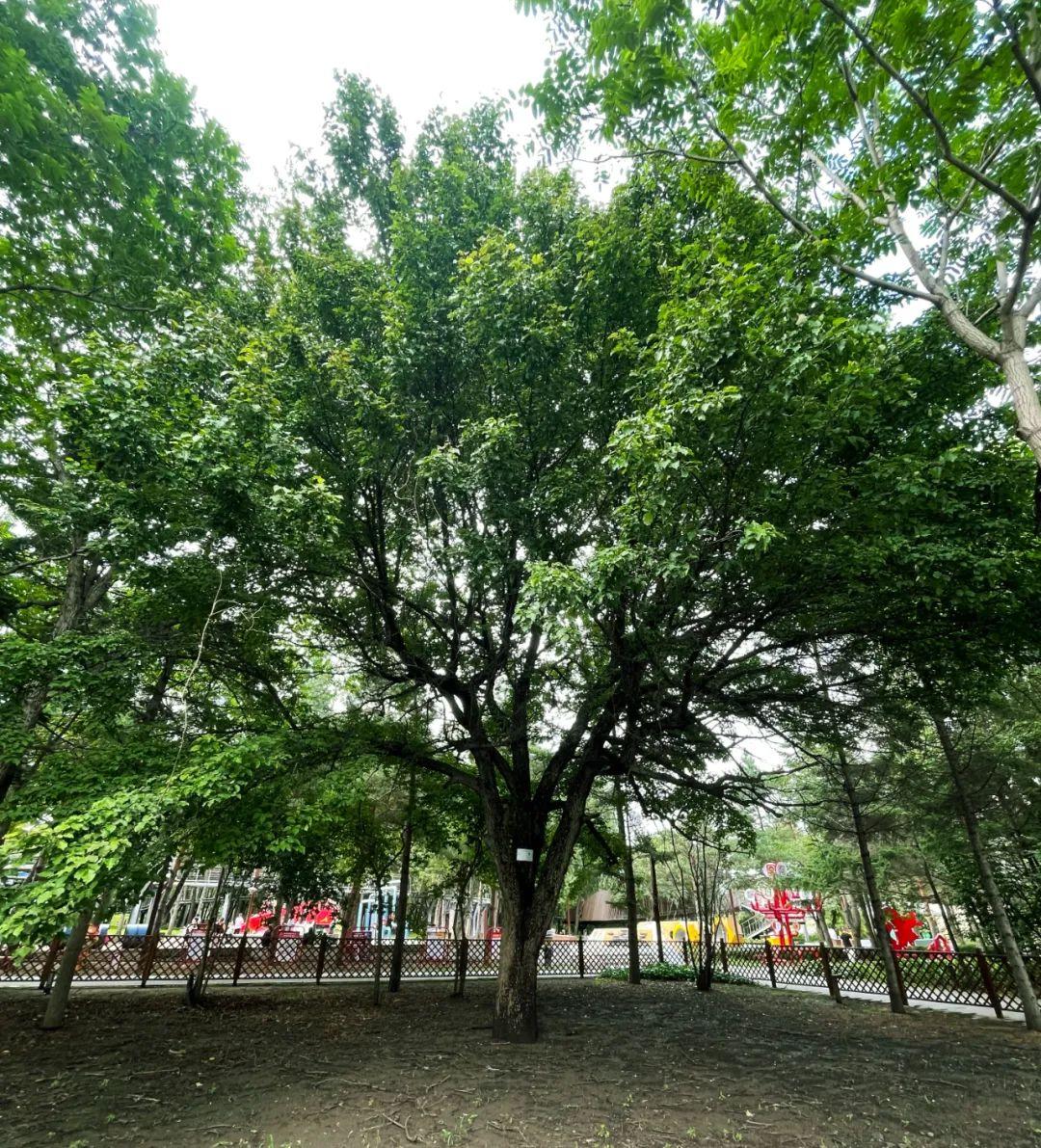 mg不朽情缘(中国)官方网站