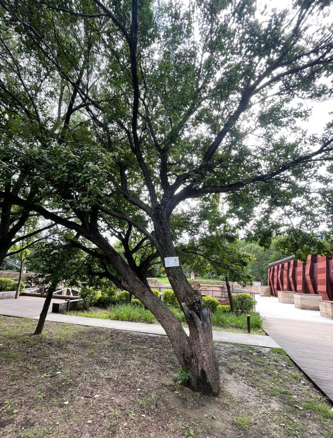 mg不朽情缘(中国)官方网站